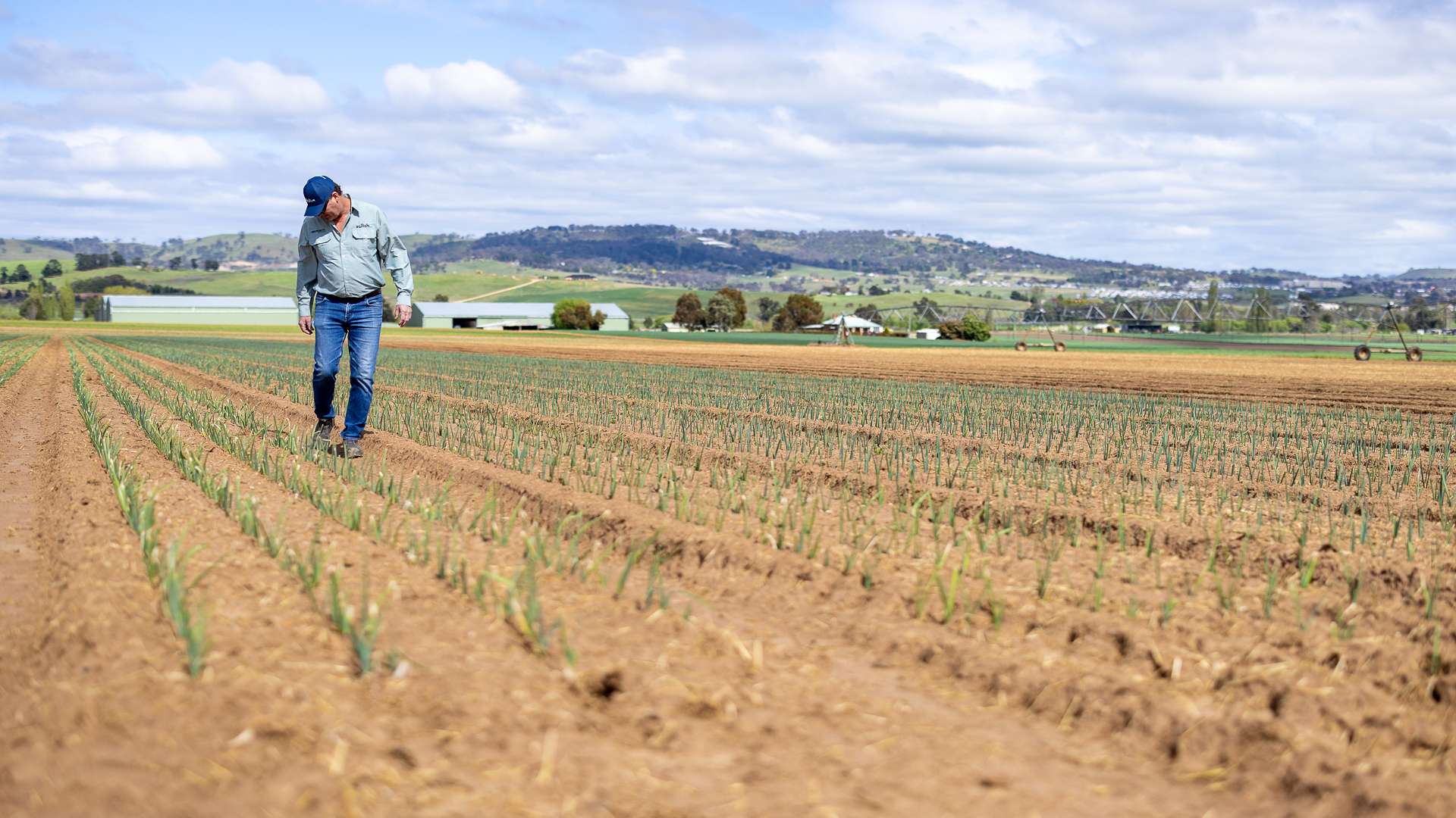 Switch Ag Fertiliser | Organic Fertilisation Australia
