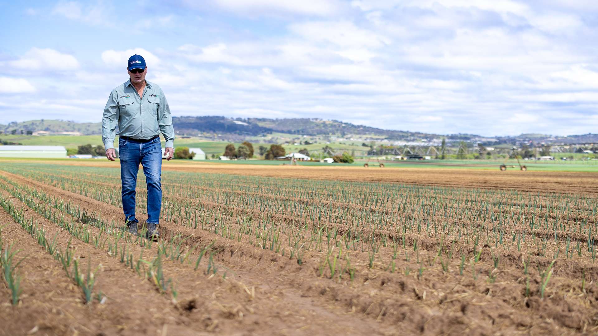 Custom soil nutrition programs | Switch Ag Fertilisers
