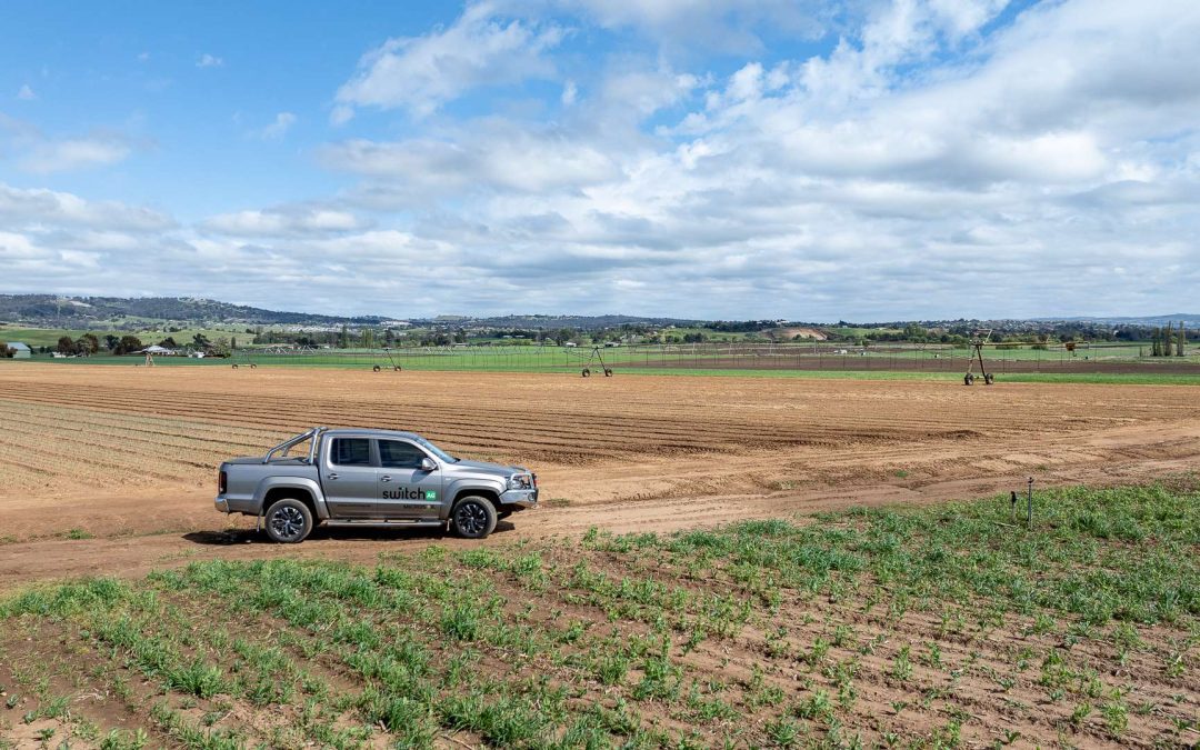 How to Read a Soil Test | Soil Health