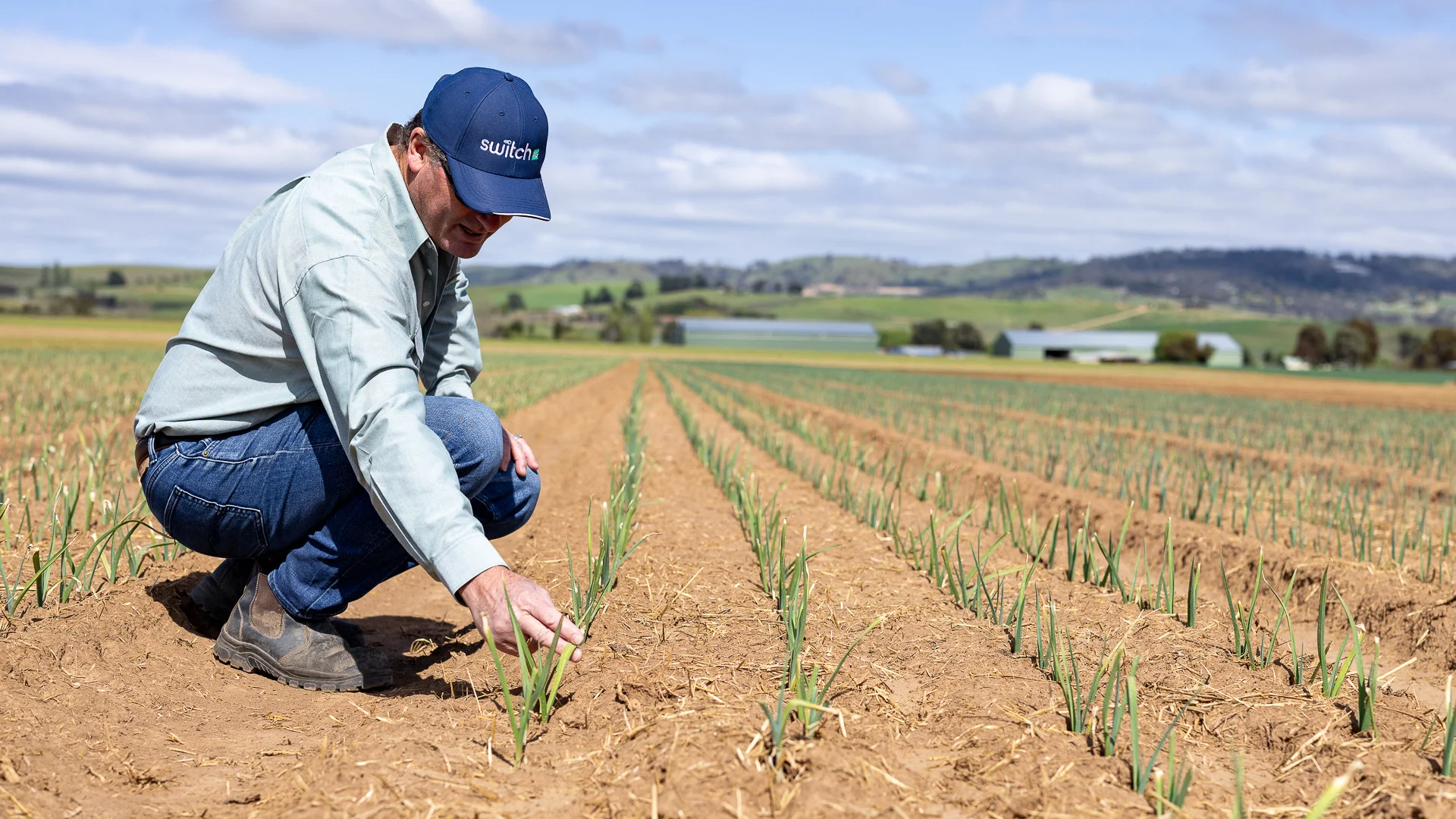 Grower crouching to inspect rows of a young crop, with farmland and hills behind