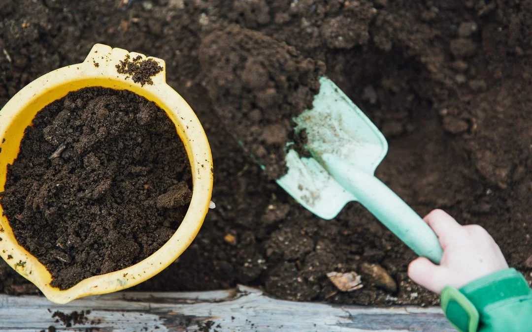 Manure And Compost Efficiency Microsoil Significantly Improves