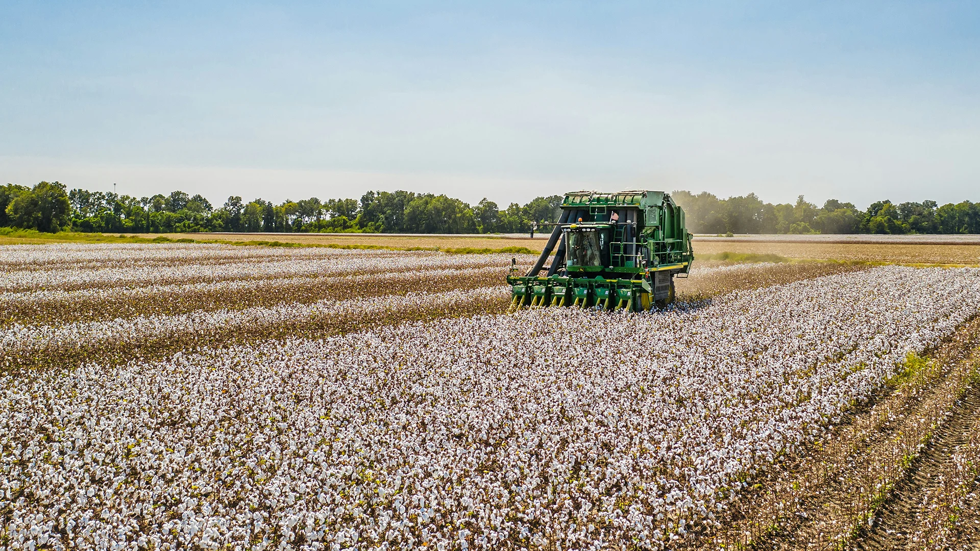 2011 COTTON TRIAL – NARROMINE NSW - Switch ag