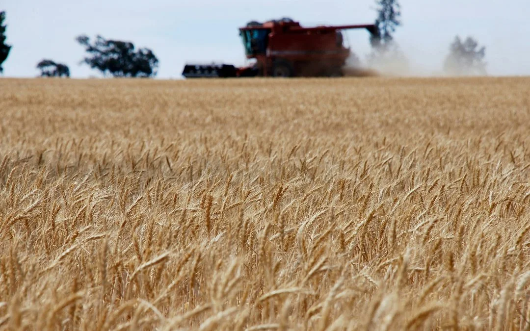 Microsoil Reduced Upfront Costs And Increased Yield And Margin