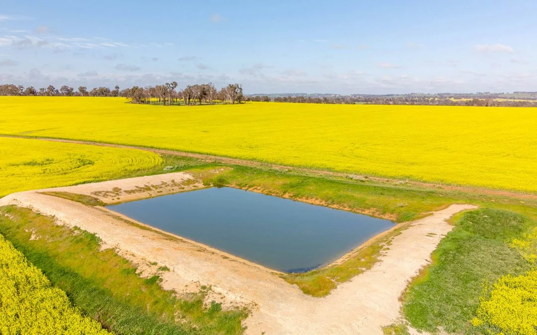 Liquids Outperform Granular Fertiliser In Young Replicated Trial