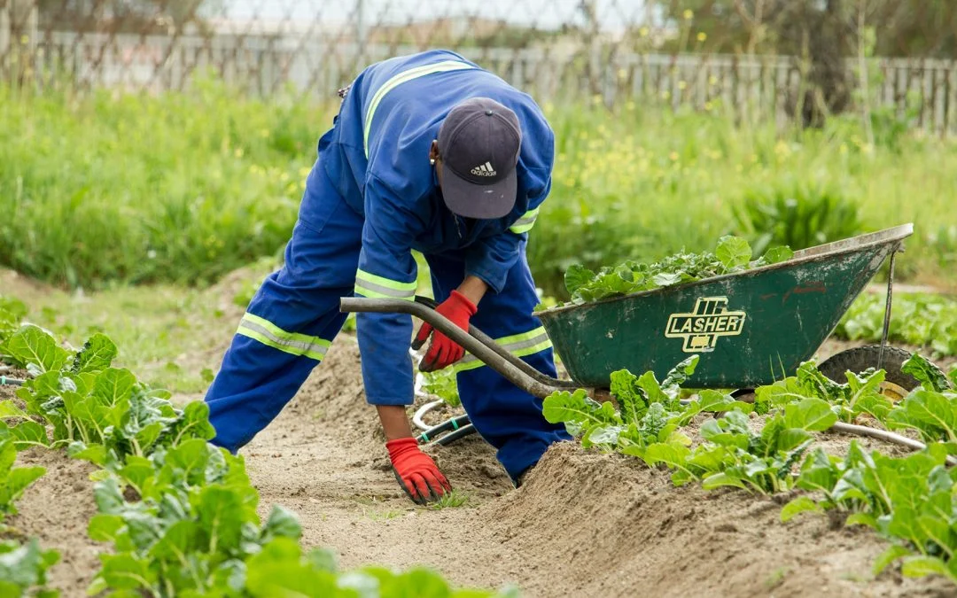 GSR Calcium: Electrically Available Calcium for Salinity & Soil
