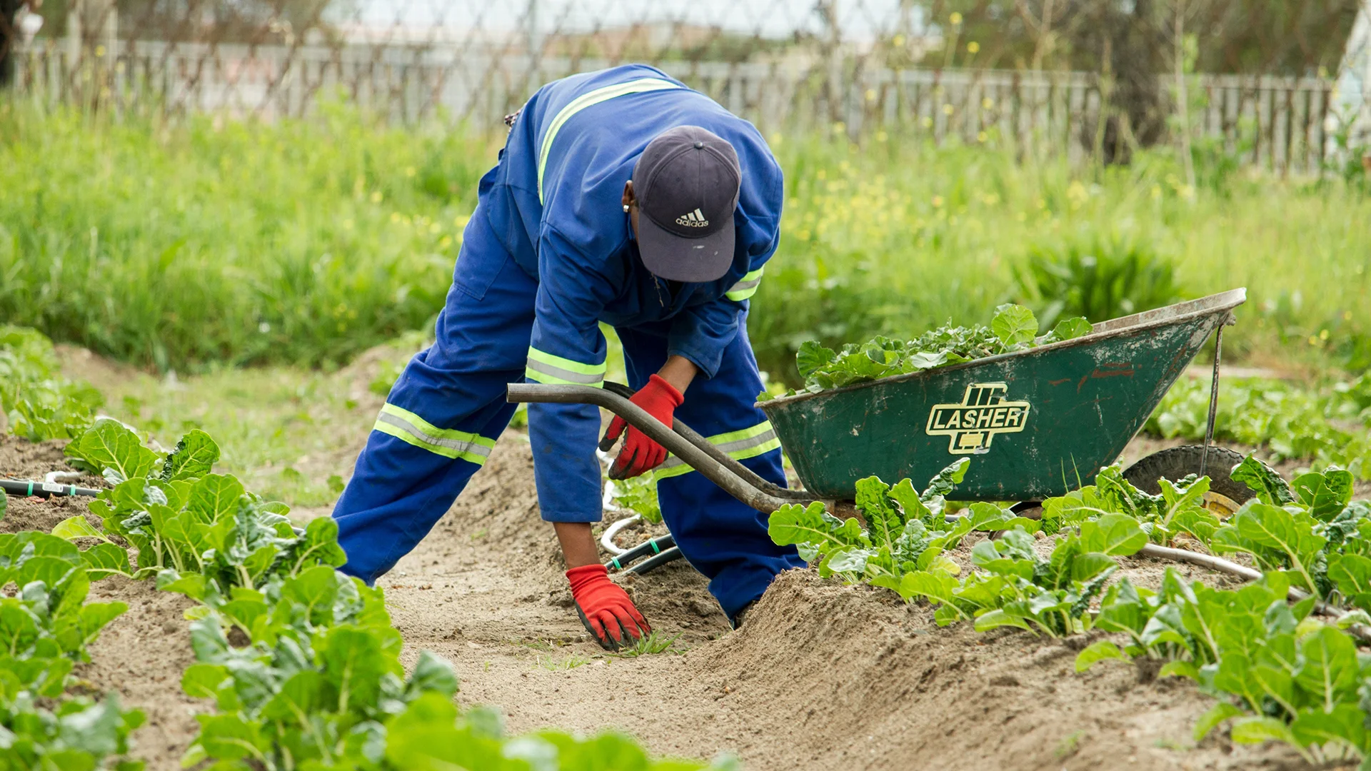 GSR Calcium South Africa - Switch ag