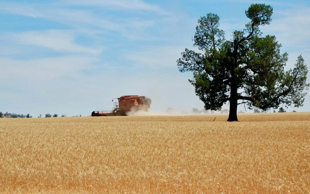 Granular Inefficiencies: Focus On ROI Rather Than Just Yield