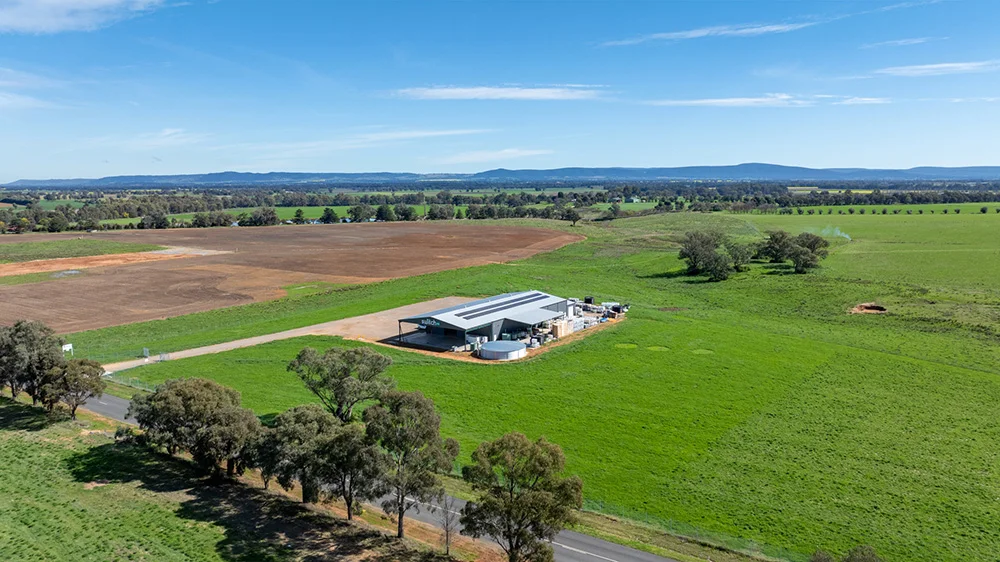 Frost Recovery in Vineyards - Switch Ag