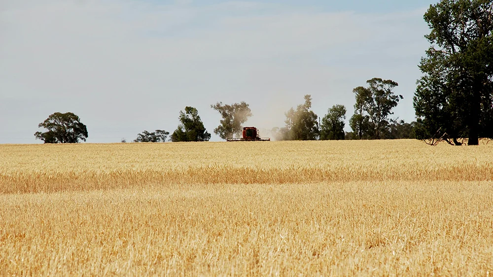 Seed Treatment - Switch Ag
