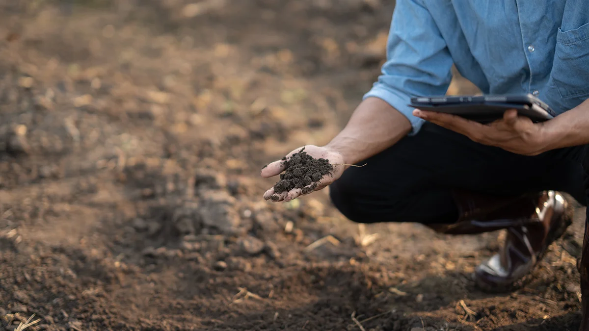 Soil testing in Australia | Switch Ag Fertilisers